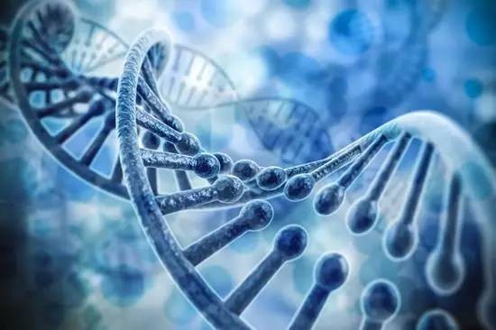 DNA